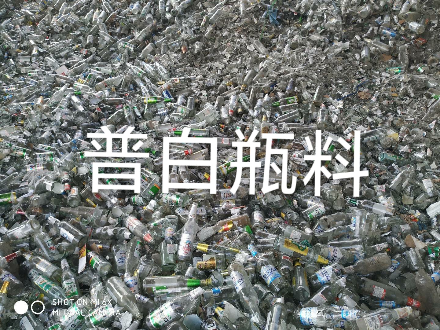 丹阳普白瓶料回收